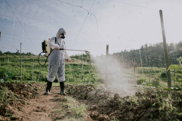 Best Commercial Pest Control Services  in Gardnerville Ranchos, NV
