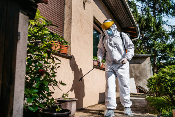 Best Affordable Pest Control Services  in Gardnerville Ranchos, NV