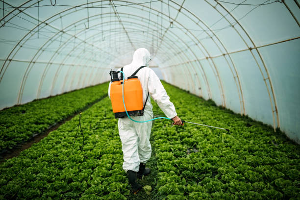 Pest Control for Restaurants in Gardnerville Ranchos, NV