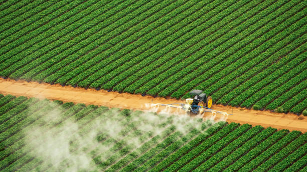 Best Pest Removal Services  in Gardnerville Ranchos, NV
